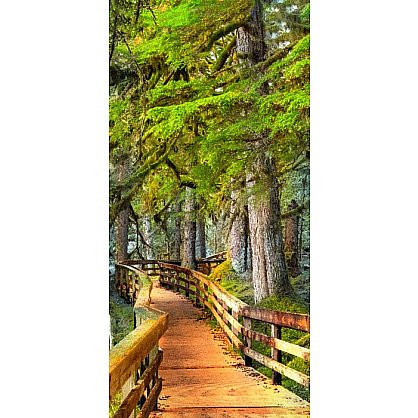 Фотофреска на стену жатый шелк "Дорога в лесу", 130*270 см (d-101792), фото 2