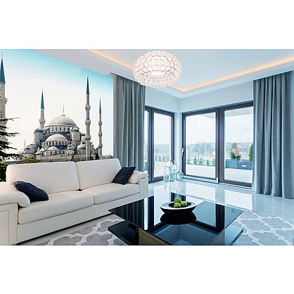 Фотопанно холст "Стамбул Голубая мечеть 2", 300*270 см (d-101886), фото 1