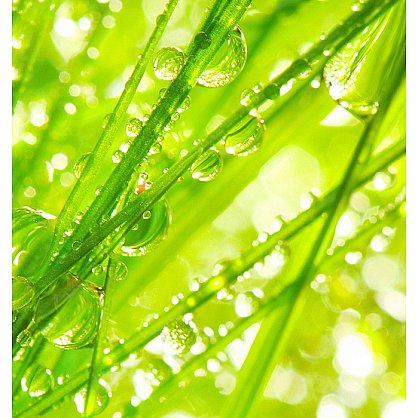 Рулонная штора ролло лен "Трава макро", 140 см-A (d-100458-A), фото 6