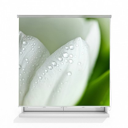 Рулонная штора ролло термоблэкаут "Белый тюльпан" (d-201126-gr), фото 1