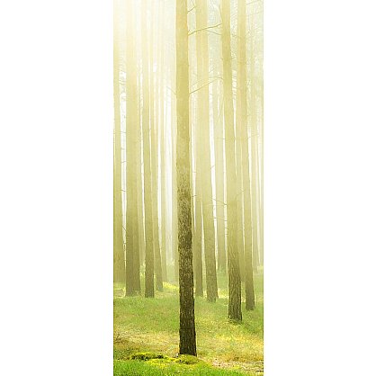 Рулонная штора лен "Весеннее утро в лесу", 43 см-A (d-103675-A), фото 3