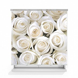 Рулонная штора ролло термоблэкаут "Розы белые"
